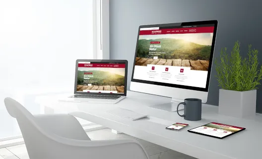 TE Web Webagentur – Schweizer Präzision für nachhaltige digitale Lösungen te web webagentur